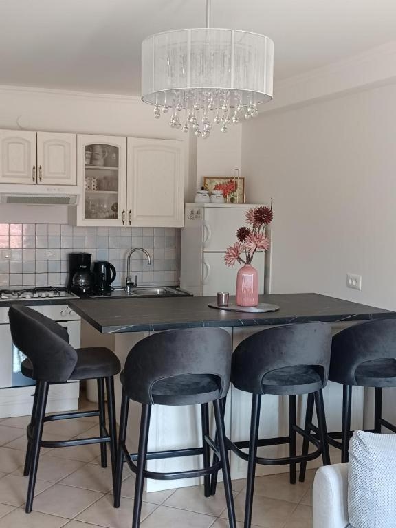 Motovunska 39A Apartamento Poreč Exterior foto